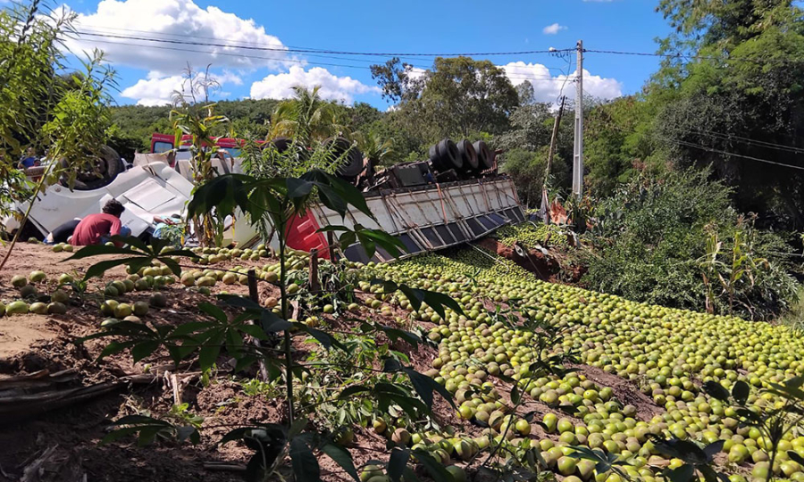 Motorista morre após acidente com carreta carregada de laranjas no sudoeste da Bahia