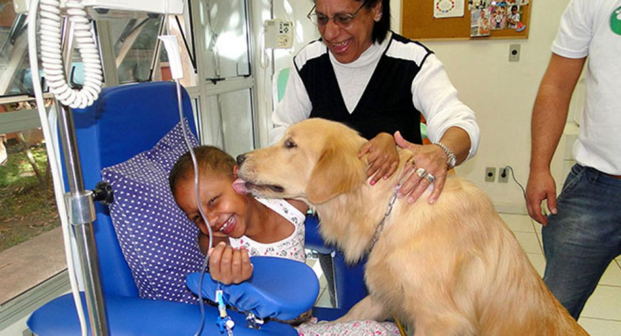 Pets passam a ser permitidos em hospitais de Salvador
