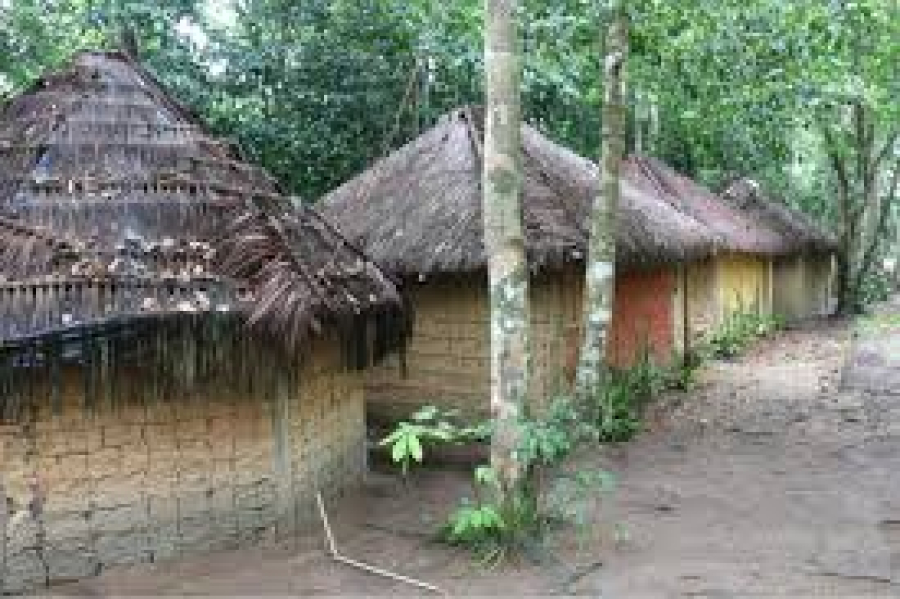 Grupo armado ataca aldeia indígena na Bahia e faz dois idosos de mais de 80 anos de reféns