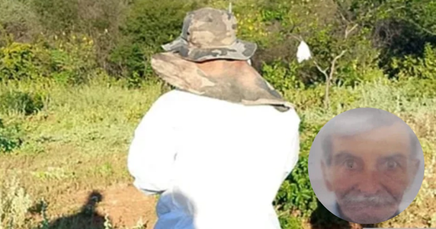 Idoso de 84 anos morre ao tentar fugir de enxame de abelhas em Brumado
