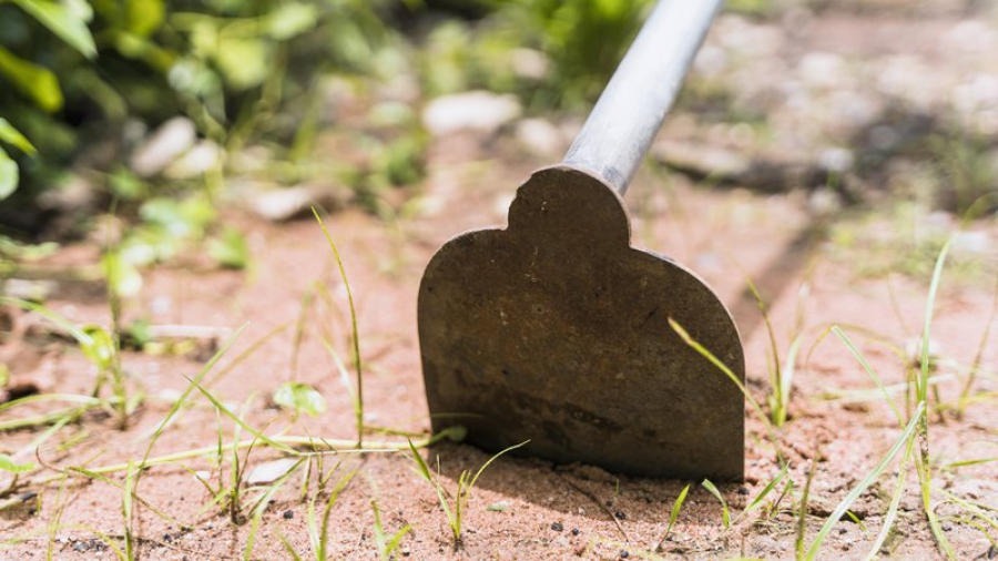 Menino de 12 anos é sequestrado, agredido e obrigado a cavar a própria cova em 'tribunal do crime'